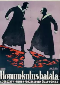 Plakat filmu Homunculus, 6. Teil - Das Ende des Homunculus