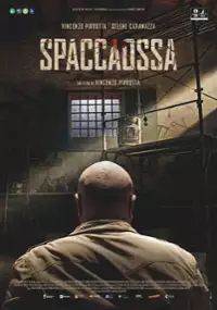 Plakat filmu Spaccaossa