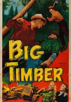 plakat filmu Big Timber