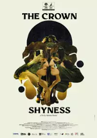 Plakat filmu La timidezza delle Chiome