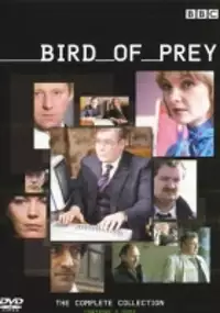 Plakat serialu Bird of Prey