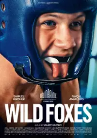 Plakat filmu La danse des renards