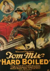Plakat filmu Hard Boiled