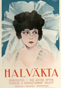 Plakat filmu Bracia