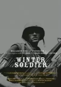 Plakat filmu Winter Soldier