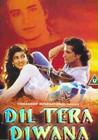 plakat filmu Dil Tera Diwana
