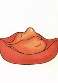 Plakat filmu Pusinka