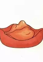 plakat filmu Pusinka