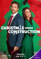 plakat filmu Renovation Romance