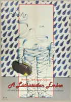 Yuri Katin-Yartsev / Chelovek-nevidimka