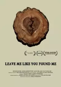 Plakat filmu Rozstania i powroty