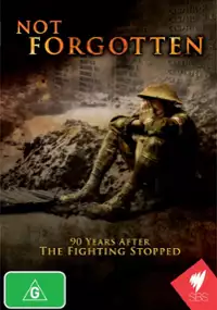 Plakat filmu Not Forgotten