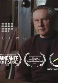 Plakat filmu 73 Cows