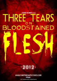 Plakat filmu Three Tears on Bloodstained Flesh