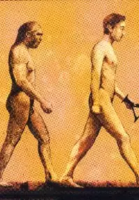Plakat filmu Scheda po Darwinie