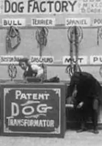 Plakat filmu Dog Factory