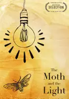 Owen Painter / The Moth and the Light
