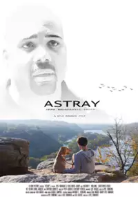 Plakat filmu Astray