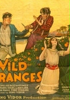 plakat filmu Wild Oranges