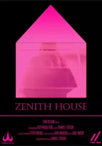 Plakat filmu Zenith House