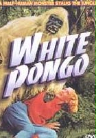 plakat filmu White Pongo