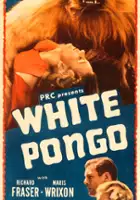 plakat filmu White Pongo