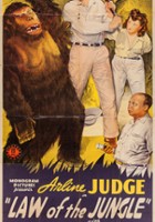 plakat filmu Law of the Jungle