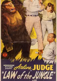 Plakat filmu Law of the Jungle