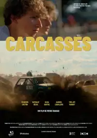 Plakat filmu Wraki