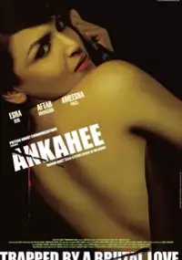 Plakat filmu Ankahee