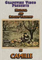 plakat filmu Dama Kameliowa