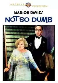 Plakat filmu Not So Dumb