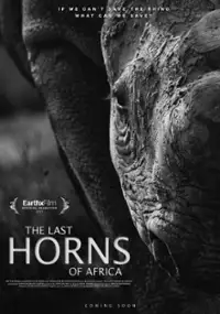 Plakat filmu The Last Horns of Africa