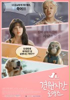 plakat filmu Cats and Dogs Romance
