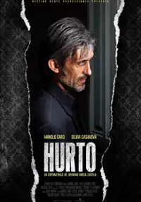 Plakat filmu Kradzież