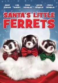 Plakat filmu Santa's Little Ferrets