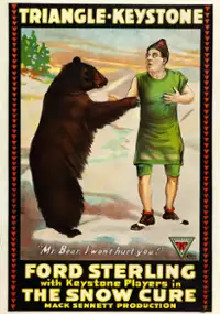 Plakat filmu The Snow Cure