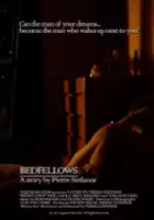Pierre Stefanos / Bedfellows