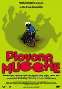 Plakat filmu Piovono mucche