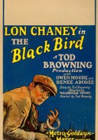 plakat filmu Czarny ptak