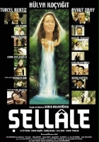plakat filmu The Waterfall