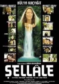 Plakat filmu The Waterfall