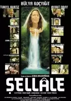 plakat filmu The Waterfall