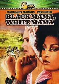 Plakat filmu Czarna mama, biała mama