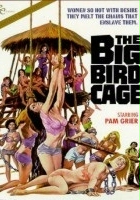 plakat filmu Klatka dla dużego ptaka