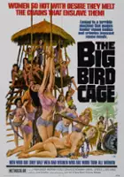 plakat filmu Klatka dla dużego ptaka