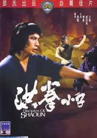 Plakat filmu Hong quan xiao zi