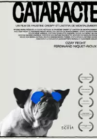 Plakat filmu Cataracte