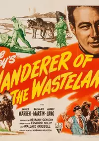 Plakat filmu Wanderer of the Wasteland
