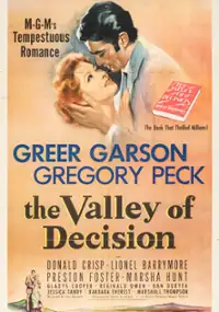 Plakat filmu Dolina decyzji